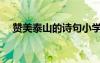 赞美泰山的诗句小学 赞美泰山的诗句(2)