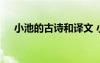 小池的古诗和译文 小池古诗注释及赏析