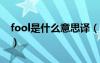 fool是什么意思译（foolish是什么意思中文）