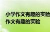 小学作文有趣的实验500字15篇 六年级优秀作文有趣的实验