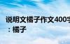 说明文橘子作文400字大全 说明文作文400字：橘子