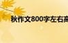 秋作文800字左右高中 秋至作文800字