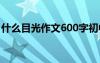 什么目光作文600字初中 什么目光作文600字