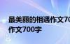 最美丽的相遇作文700字初二 最美丽的相遇作文700字