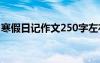 寒假日记作文250字左右 寒假日记作文250字