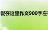 爱在这里作文900字左右 爱在这里作文900字