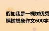 假如我是一棵树优秀作文600字 假如我是一棵树想象作文600字