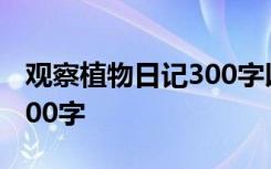 观察植物日记300字以上 观察植物日记作文300字