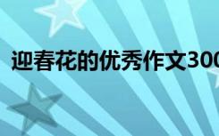 迎春花的优秀作文300字 迎春花的优秀作文
