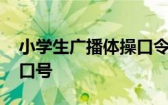 小学生广播体操口令开始 学校小学生广播操口号