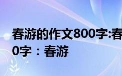 春游的作文800字:春游怎么写 春游的作文800字：春游