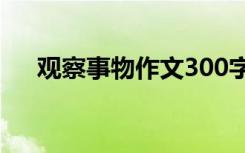 观察事物作文300字左右 观察事物作文