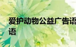 爱护动物公益广告语大全 爱护动物公益广告语