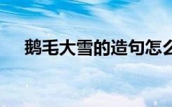 鹅毛大雪的造句怎么造 鹅毛大雪的造句