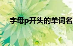 字母p开头的单词名词 字母P开头的单词