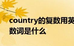 country的复数用英语怎么说 country的复数词是什么