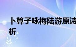 卜算子咏梅陆游原诗 卜算子咏梅陆游翻译赏析