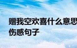 赠我空欢喜什么意思 赠我空欢喜留我独角戏伤感句子