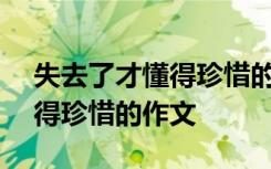 失去了才懂得珍惜的作文600字 失去了才懂得珍惜的作文