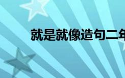 就是就像造句二年级 就是就像造句