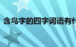 含鸟字的四字词语有什么 含鸟字的四字词语