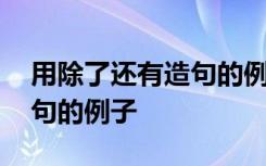 用除了还有造句的例子四年级 用除了还有造句的例子