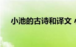 小池的古诗和译文 小池古诗注释及赏析