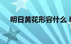 明日黄花形容什么 明日黄花的成语解释