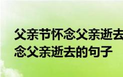 父亲节怀念父亲逝去的句子有哪些 父亲节怀念父亲逝去的句子