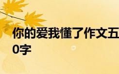 你的爱我懂了作文五百字 你的爱我懂作文500字