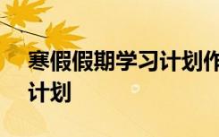 寒假假期学习计划作文500字 寒假假期学习计划