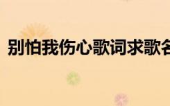 别怕我伤心歌词求歌名 《别怕我伤心》歌词