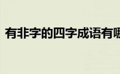 有非字的四字成语有哪些 有非字的四字成语