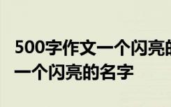 500字作文一个闪亮的名字怎么写 500字作文一个闪亮的名字