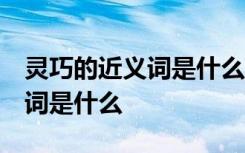 灵巧的近义词是什么 标准答案一 灵巧的近义词是什么