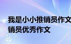 我是小小推销员作文开头和结尾 我是小小推销员优秀作文