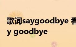 歌词saygoodbye 看着眼泪流下来 歌词：Say goodbye