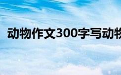 动物作文300字写动物 动物动物作文300字