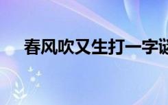 春风吹又生打一字谜 春风吹又生打一字