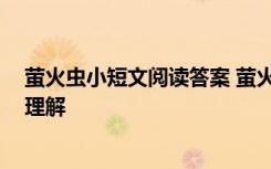 萤火虫小短文阅读答案 萤火虫阅读理解及答案 萤火虫阅读理解