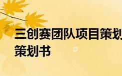 三创赛团队项目策划书模板 三创赛团队项目策划书