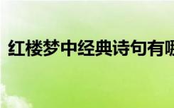 红楼梦中经典诗句有哪些 红楼梦中经典诗句