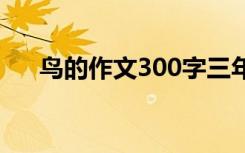 鸟的作文300字三年级 鸟的作文300字