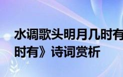 水调歌头明月几时有诗句 《水调歌头明月几时有》诗词赏析