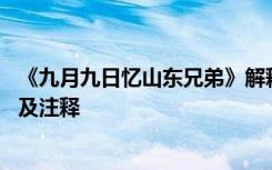 《九月九日忆山东兄弟》解释 《九月九日忆山东兄弟》译文及注释