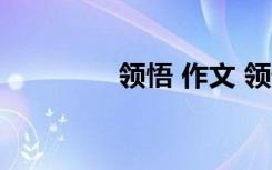 领悟 作文 领悟作文800字