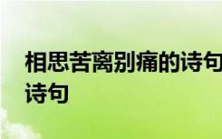 相思苦离别痛的诗句是什么 相思苦离别痛的诗句