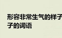 形容非常生气的样子的词语 形容很生气的样子的词语