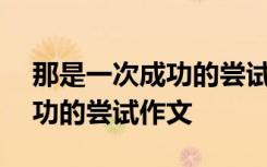 那是一次成功的尝试作文200字 那是一次成功的尝试作文