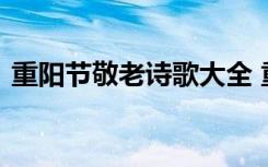 重阳节敬老诗歌大全 重阳节敬老的现代诗歌